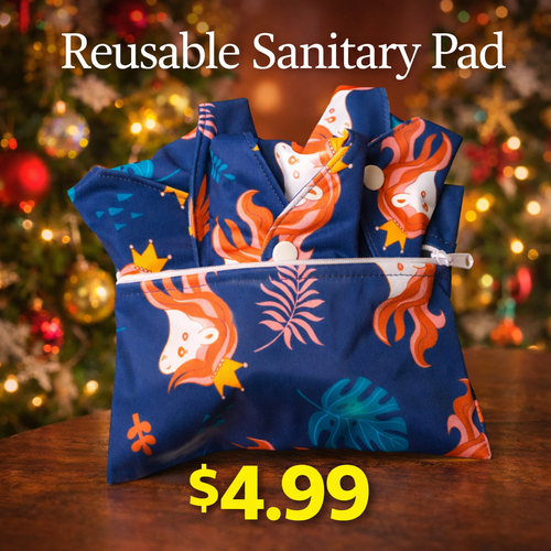 Reusable Pads Set (5 Pack) Absorbent & Compact - $4.99 Each
