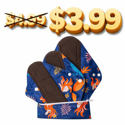 Sanitary Pads Set (5 Pack) Absorbent & Compact - Sanitary Product - $3.99 Each