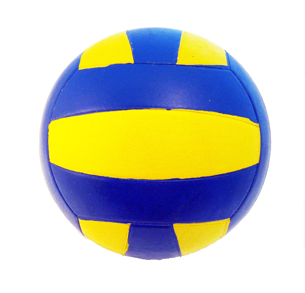 Official Size Rubber Volleyball (5 Pack) - With Pump - $4.99 Each