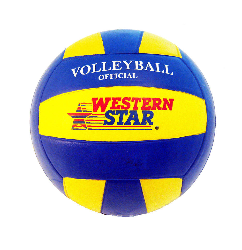 Official Size Rubber Volleyball (5 Pack) - With Pump - $4.99 Each